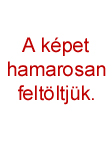 A k�pet hamarosan felt�ltj�k.